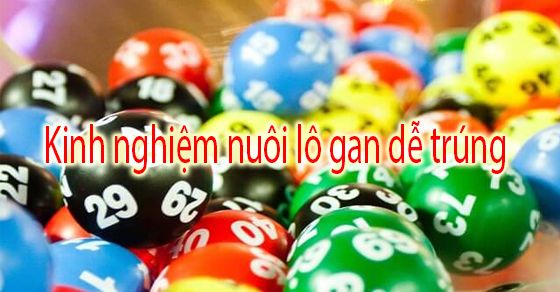 chu-ky-va-cach-nhan-biet-lo-gan-chuan